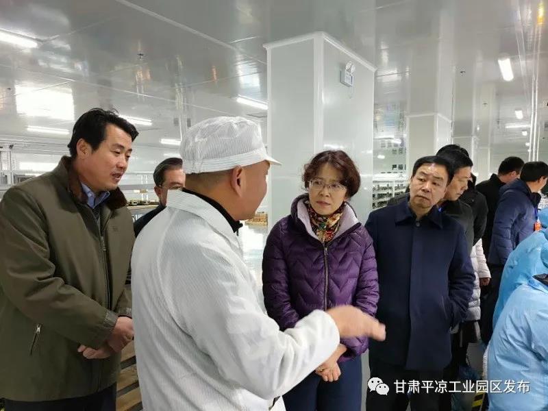 省市人大代表來平?jīng)龉I(yè)園區(qū)視察(圖2) 省市人大代表來平?jīng)龉I(yè)園區(qū)視察(圖2)
